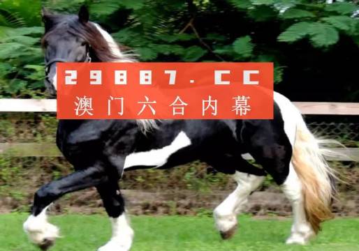 2025澳门和香港一肖一码一一特一中厂-精选解析与落实的详细结果