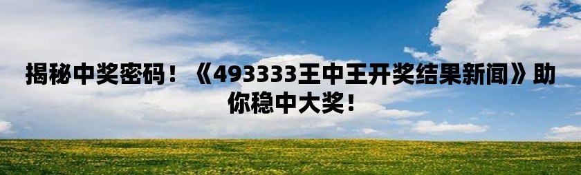 493333王中王开奖结果-精选解析与落实的详细结果