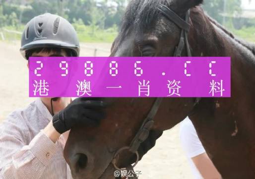 澳门码一肖一码-全面探讨落实与释义全方位