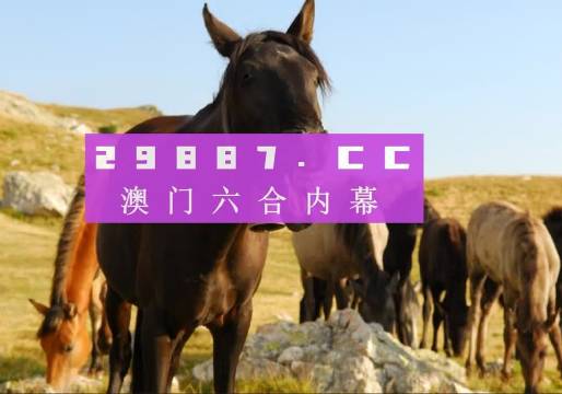 管家婆澳门一肖一码正版-精选解析与落实的详细结果