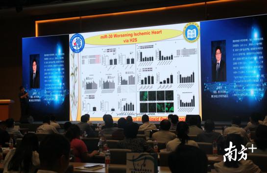 澳门一肖中100%期期准-精选解析与落实的详细结果